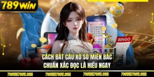 Cách Bắt Cầu Xổ Số Miền Bắc Chuẩn Xác Đọc Là Hiểu Ngay