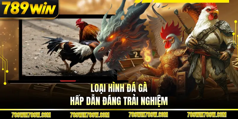 Loại hình đá gà hấp dẫn đáng trải nghiệm