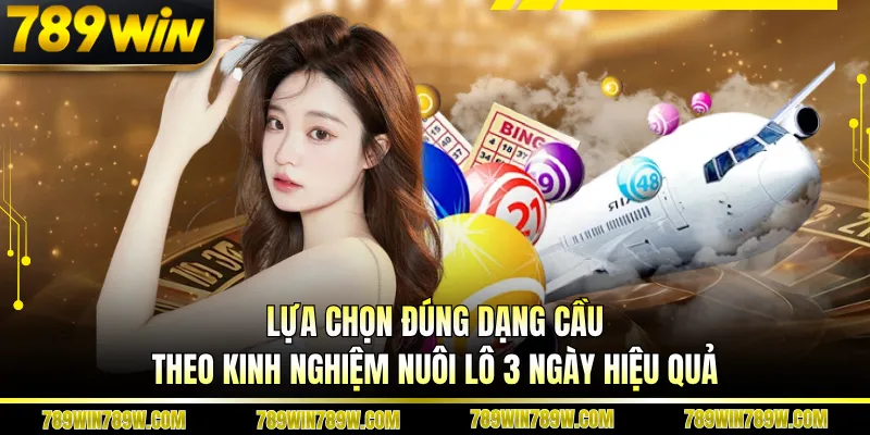 Kinh Nghiệm Nuôi Lô 3 Ngày Hiệu Quả Giúp Bám Cầu Chuẩn Xác 3 Lựa chọn đúng dạng cầu theo kinh nghiệm nuôi lô 3 ngày hiệu quả