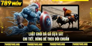 Luật Chơi Đá Gà Cựa Sắt Chi Tiết, Đúng Để Theo Dõi Chuẩn