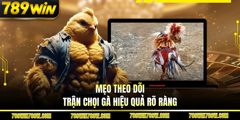 Mẹo theo dõi trận chọi gà hiệu quả rõ ràng