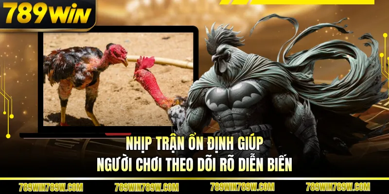 Luật Chơi Đá Gà Cựa Sắt Chi Tiết, Đúng Để Theo Dõi Chuẩn 2 Nhịp trận ổn định giúp người chơi theo dõi rõ diễn biến