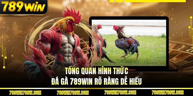 Tổng quan hình thức đá gà 789WIN rõ ràng dễ hiểu